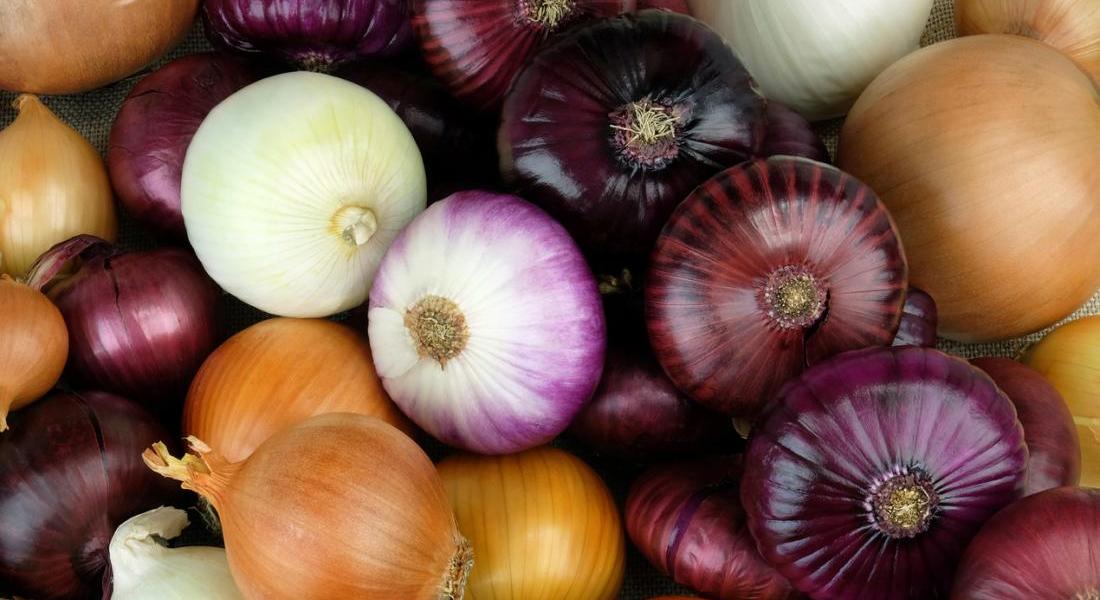 Lupane State University Lecturer Ventures Into Tinned Onion Business