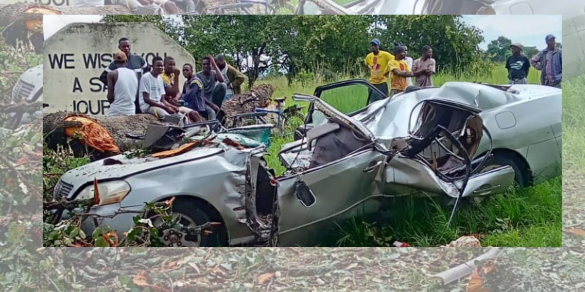Tree Falls On A Car Killing School Head Who Was In The Vehicle