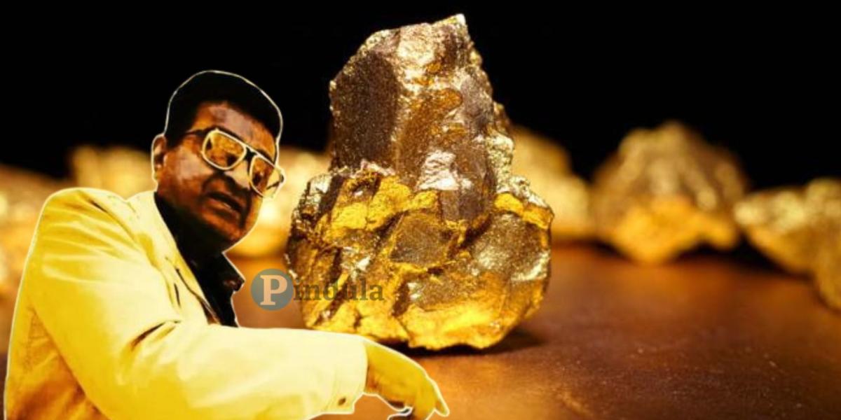Accountant Reveals How Kamlesh Pattni Is Duping Zimbabwe - Gold Mafia