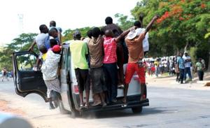 Operation Tame The Traffic Jungle Mushika-shika Operators