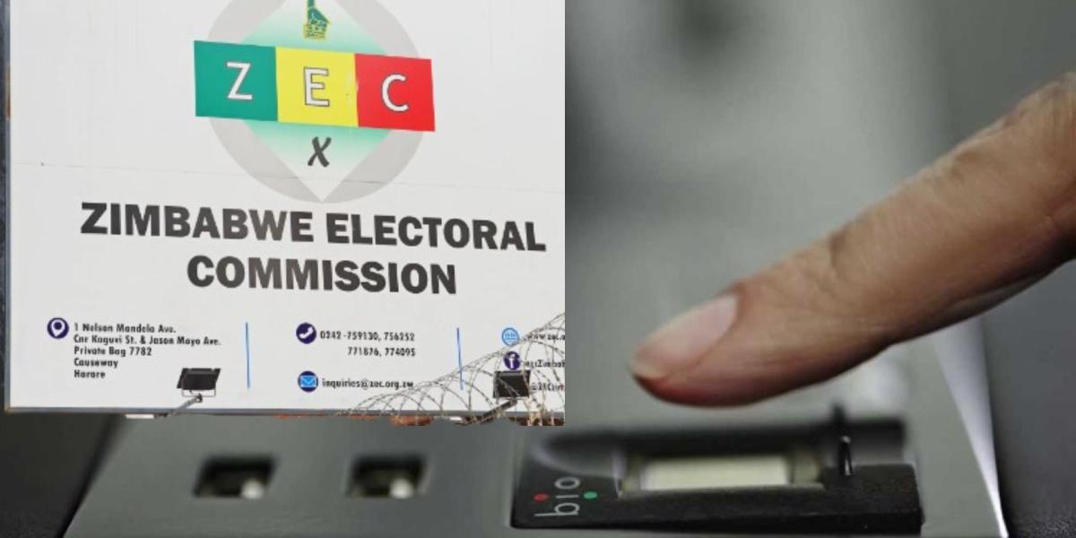 zimbabwe electoral commission biometric voters' registration