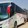 Timboom Bus Company