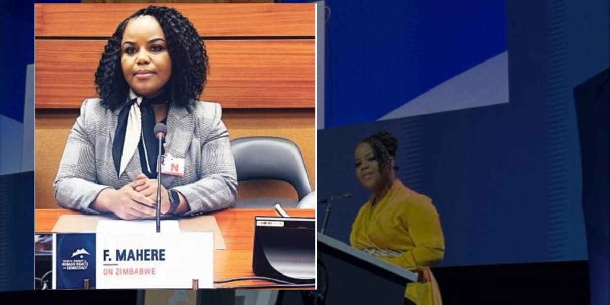 The Herald Accused Mahere Of Lying At UN Human Rights Summit