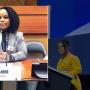 The Herald Accused Mahere Of Lying At UN Human Rights Summit