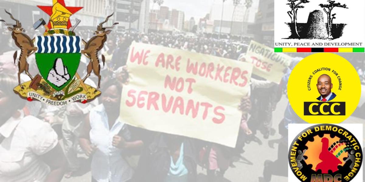 Zimbabwe Reiterates Civil Servants Are Banned From Holding Political Office