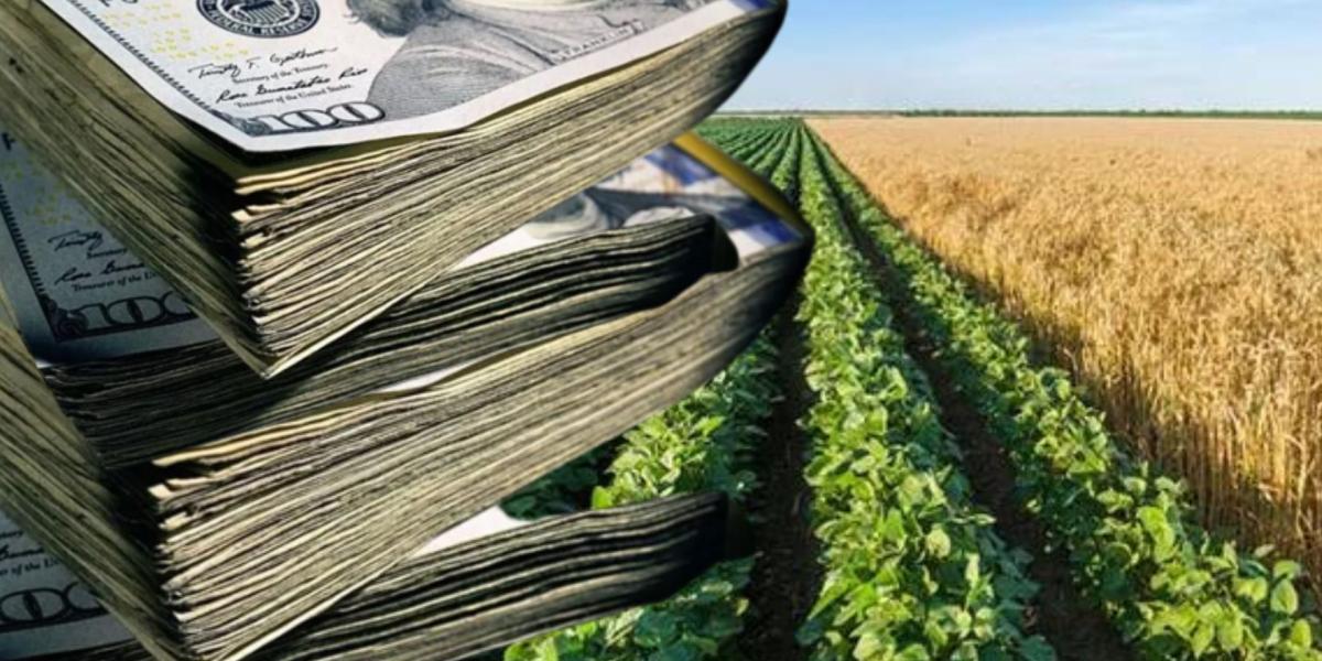 Zimbabwe Government Assumes ZW$2.77bn Debt After Farmers Fail To Repay
