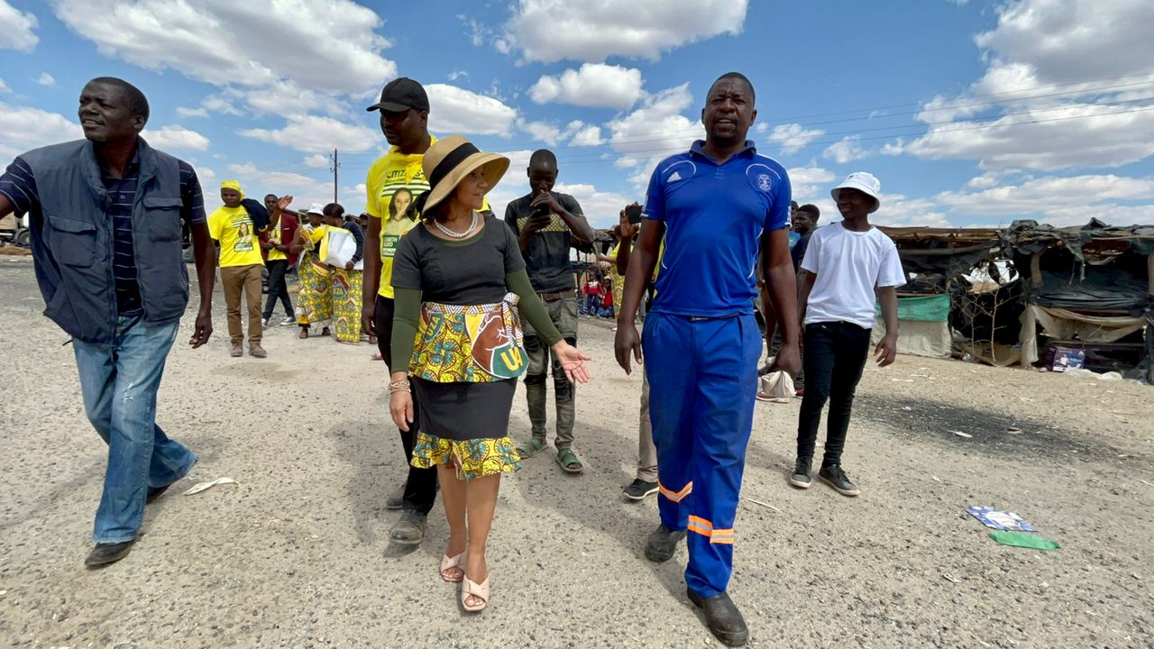 ZiG Won’t Address Zimbabwe’s Economic Challenges – Valerio
