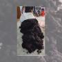 WATCH: Human Hair Being Processed For Onward Selling In Africa