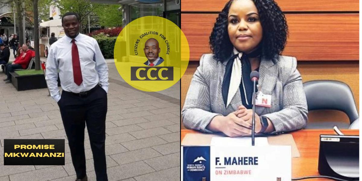 Former Tajamuka Leader Promise Mkwananzi Appointed As CCC National Spokesperson