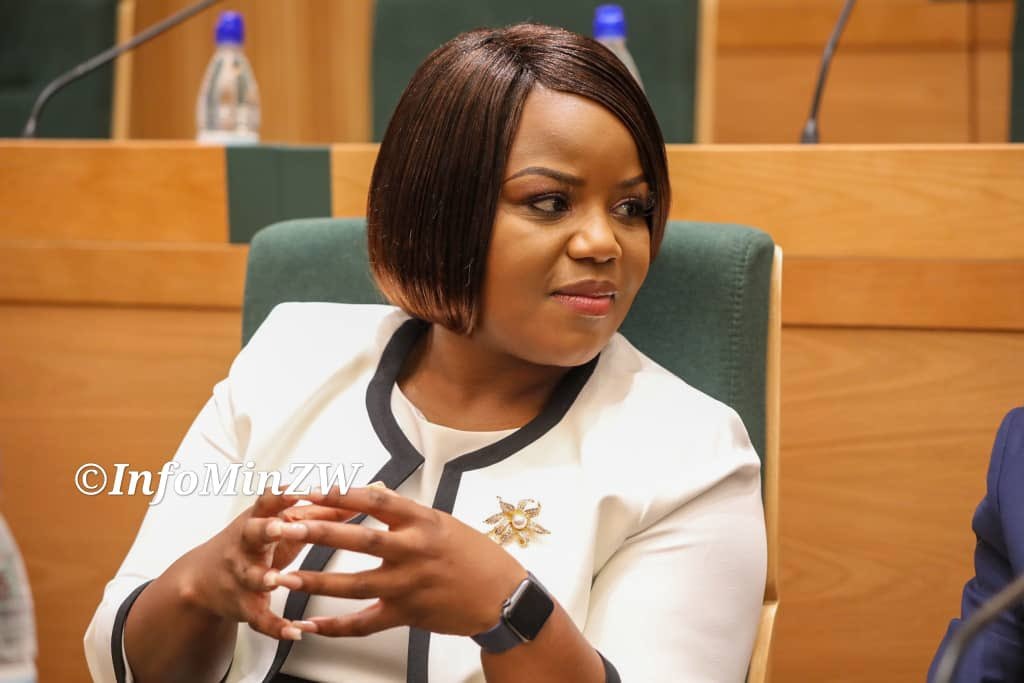 Fadzayi Mahere Won’t Run In Mt Pleasant By-election Due To Unchanged Conditions