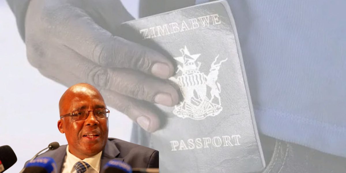 Aaron Motsoaledi Zimbabwe Exemption Permits ZEPs