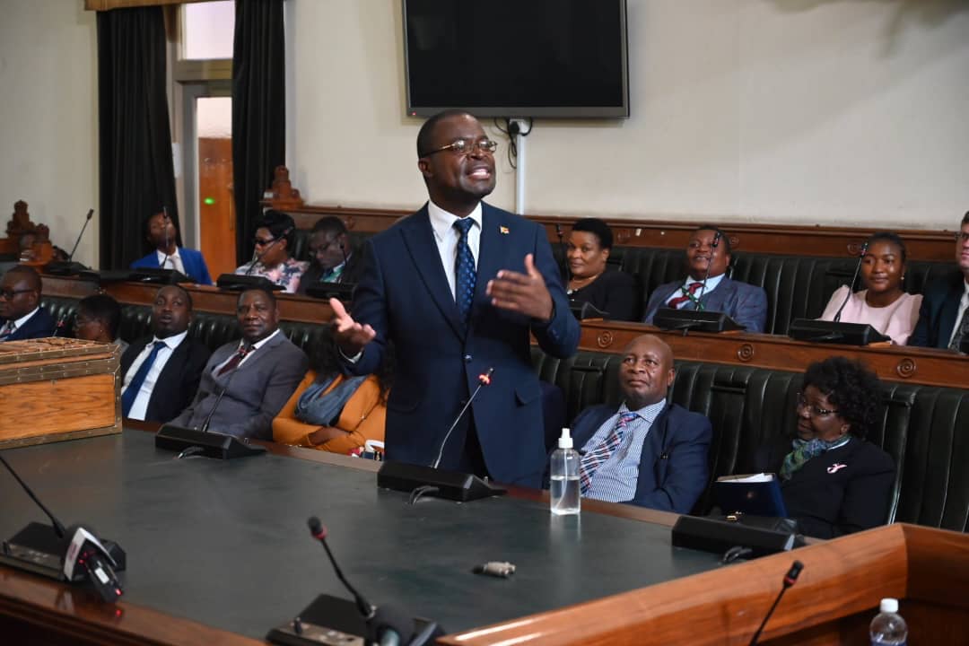 Zimbabwe Launches Bid For UN Security Council Seat