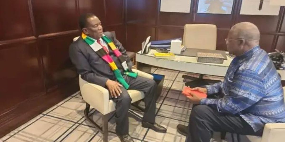 Dr Dzingai Mutumbuka Emmerson Mnangagwa