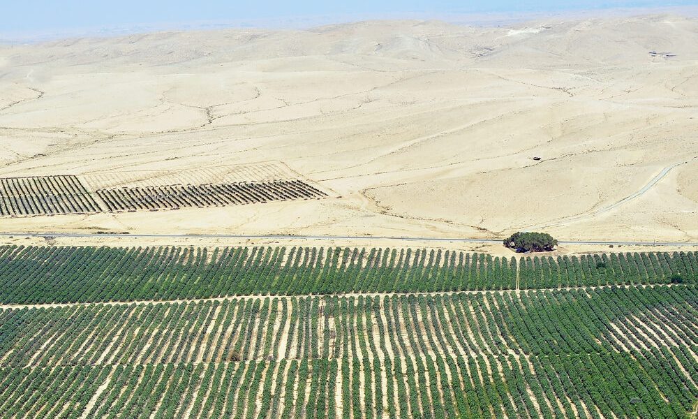 Israeli farms in desert