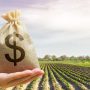 Money bag on the background of agricultural crops in the hand of the farmer. Agricultural startups. Profit from agribusiness. Lending and subsidizing farmers. Grants and support. Land value and rent.