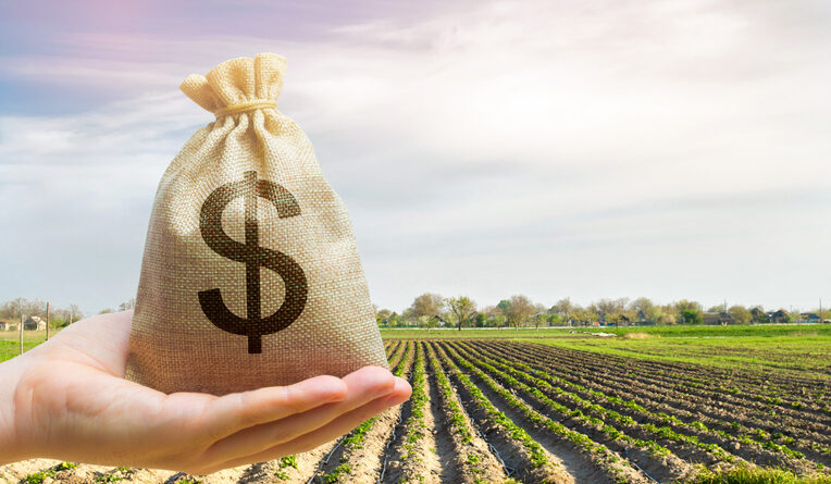 Money bag on the background of agricultural crops in the hand of the farmer. Agricultural startups. Profit from agribusiness. Lending and subsidizing farmers. Grants and support. Land value and rent.