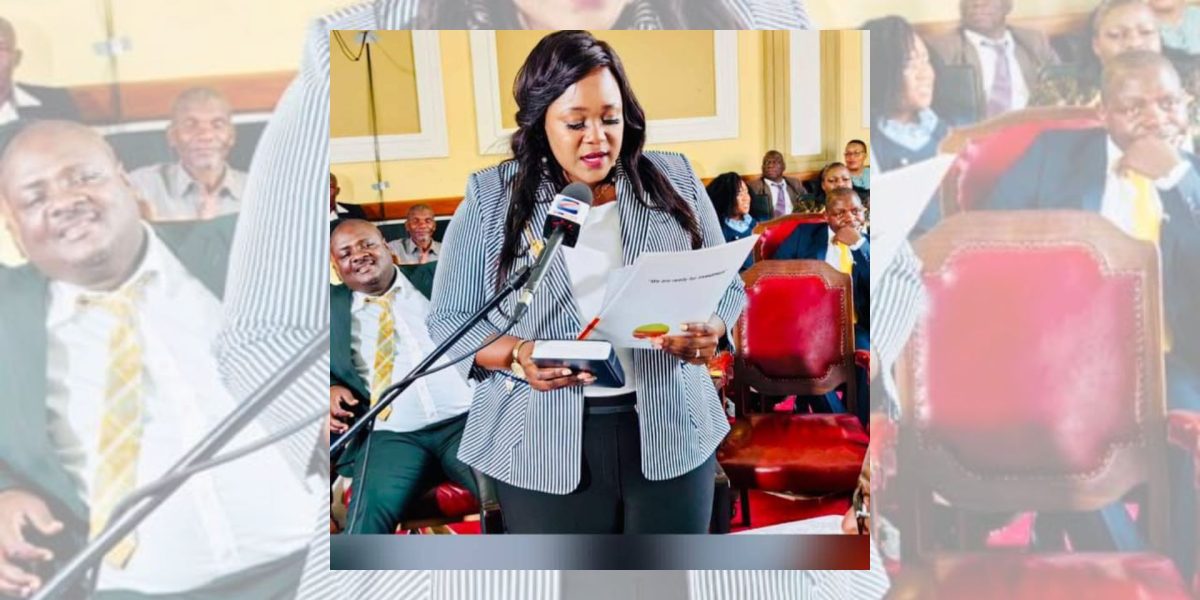 Kudzai Kadzombe Harare City Councillor