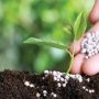 Mineral fertilisers top dressing