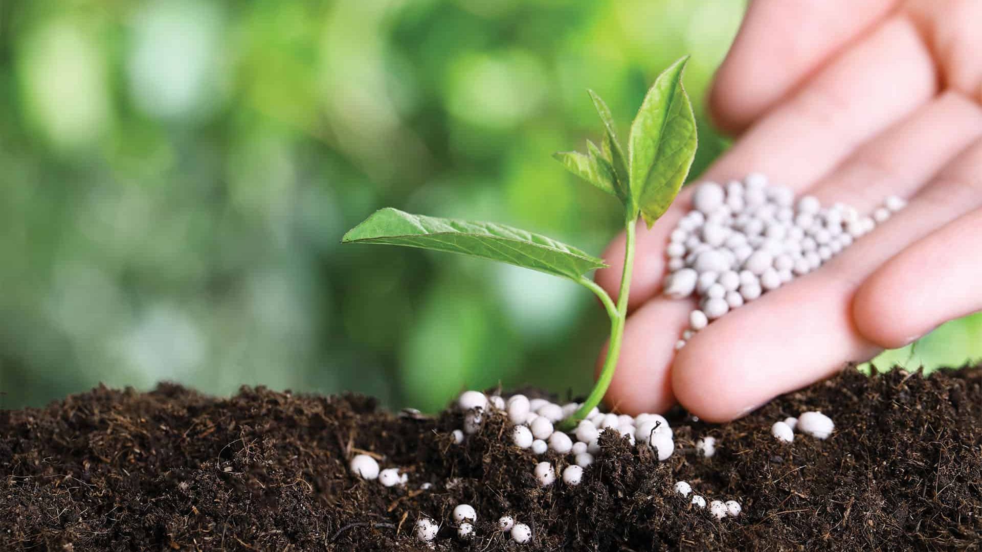 Russia’s Uralchem Group Donates 23,000 Tonnes Of Mineral Fertiliser To Zimbabwe