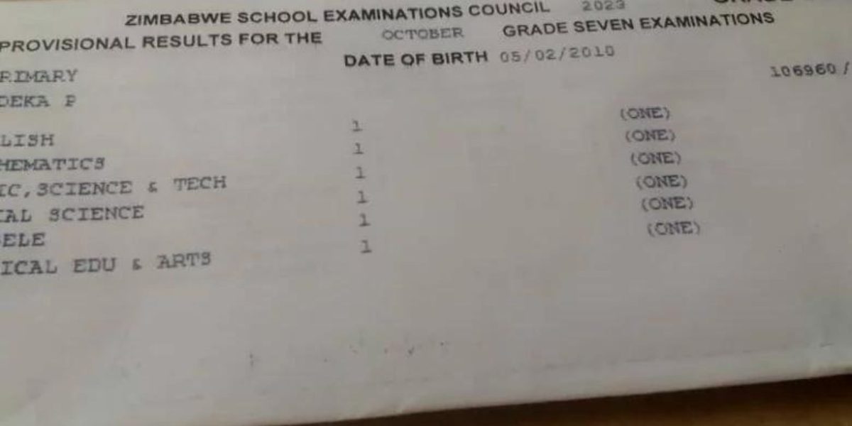 Thandeka Ncube results