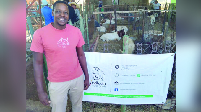 Zimbabwean Man Abandons UK Job To Venture Into Goat Farming