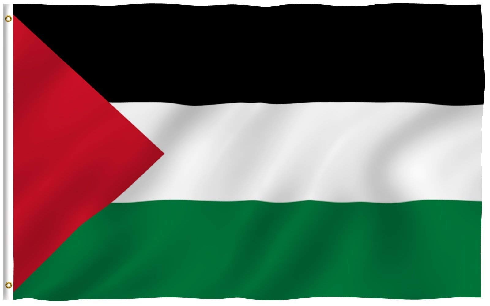 Ireland, Norway And Spain Recognise Palestine As An Independent State
