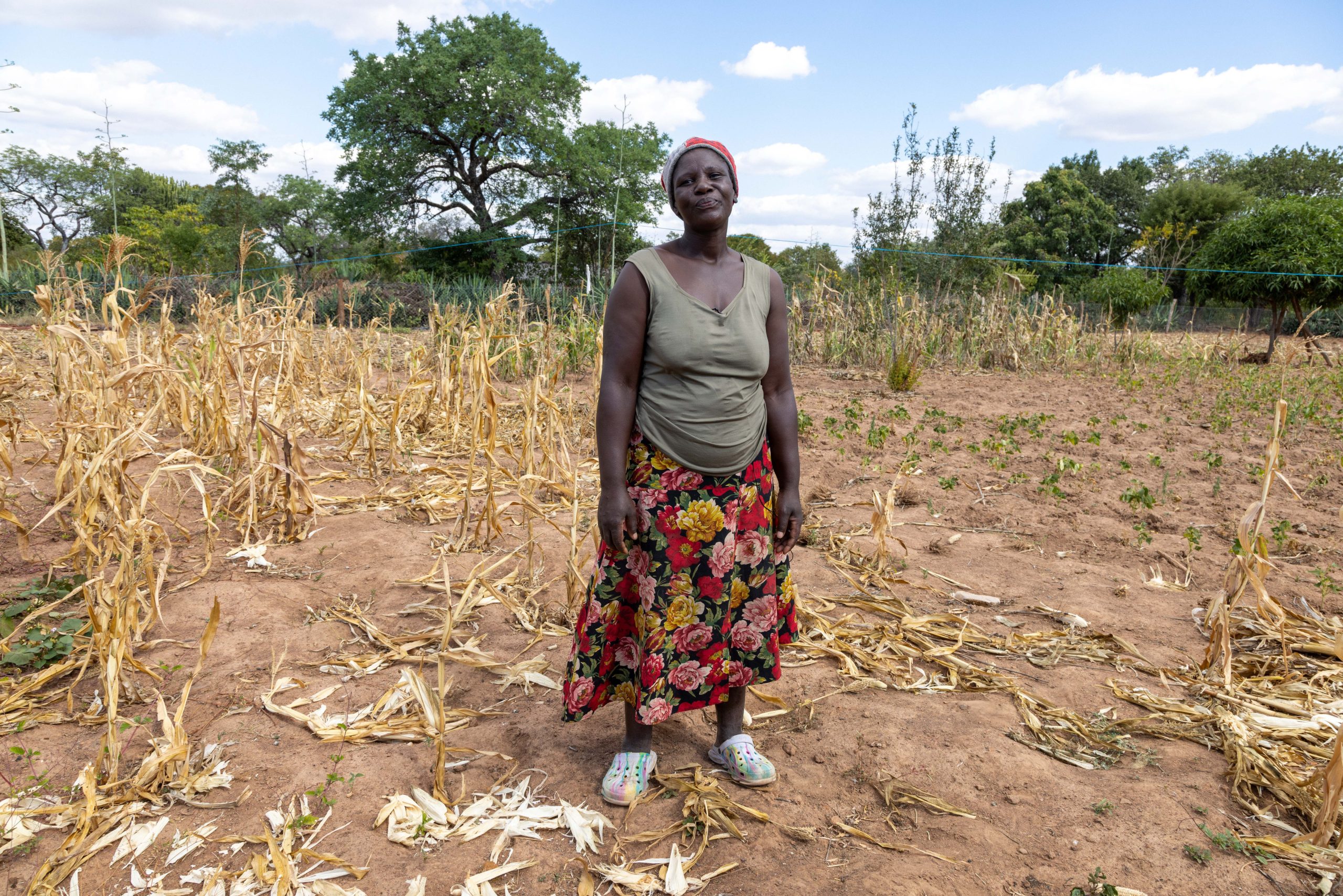 World Food Programme Closes Its Southern Africa Office