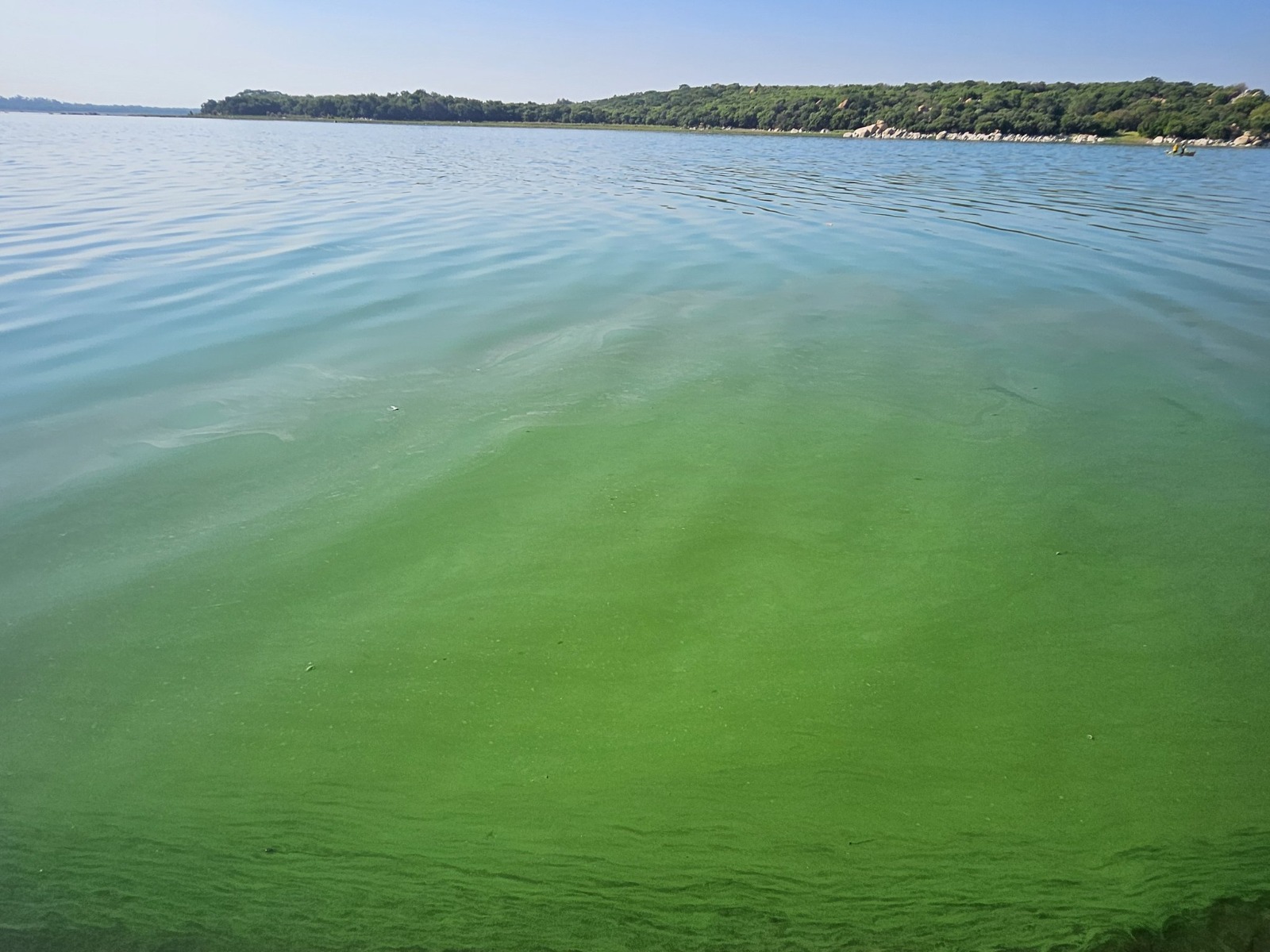 EMA Sues Harare City Council Over Lake Chivero Sewage Pollution