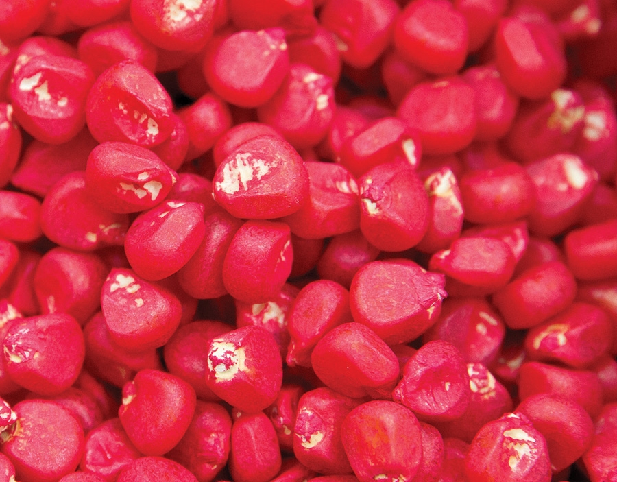 Fraudsters Repackage Grain As High-Quality Maize Seed