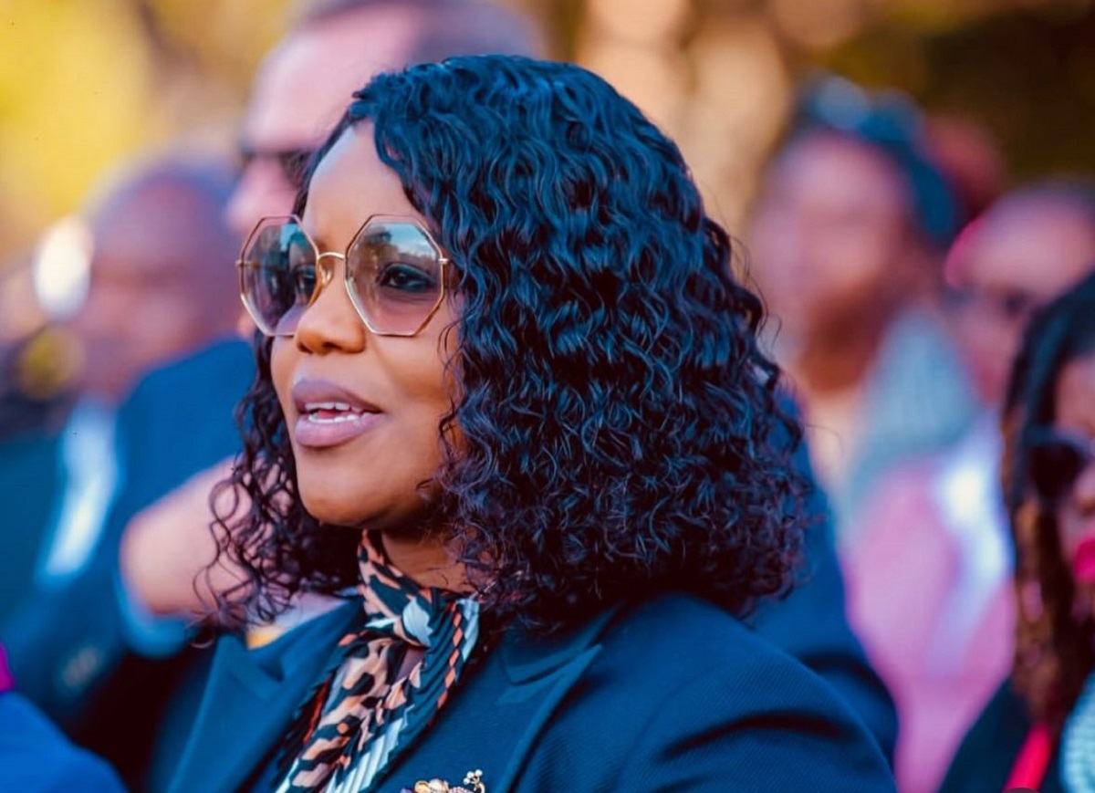 Lawyer found guilty of misconduct over lewd WhatsApp messages to Fadzayi Mahere