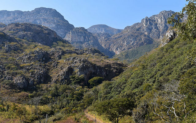 Tragedy At Prayer Mountain As Two Mugodhi Church Worshippers Die Fleeing Armed Robbers