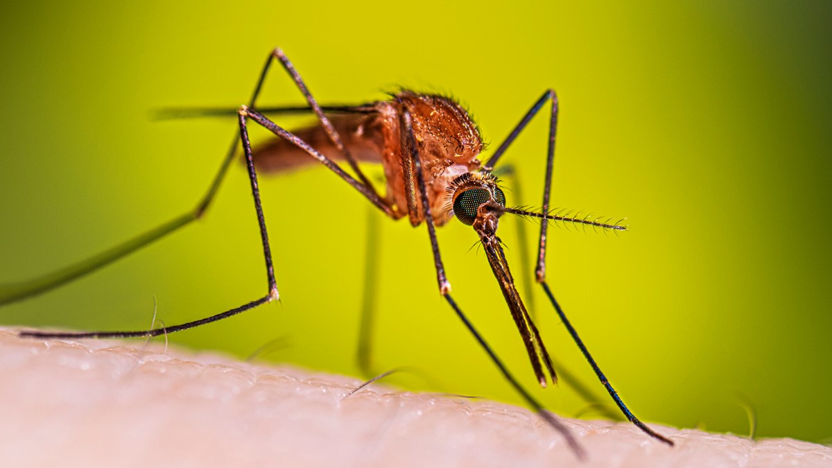 500 Faith Leaders Join Fight Against Malaria In Nationwide Drive