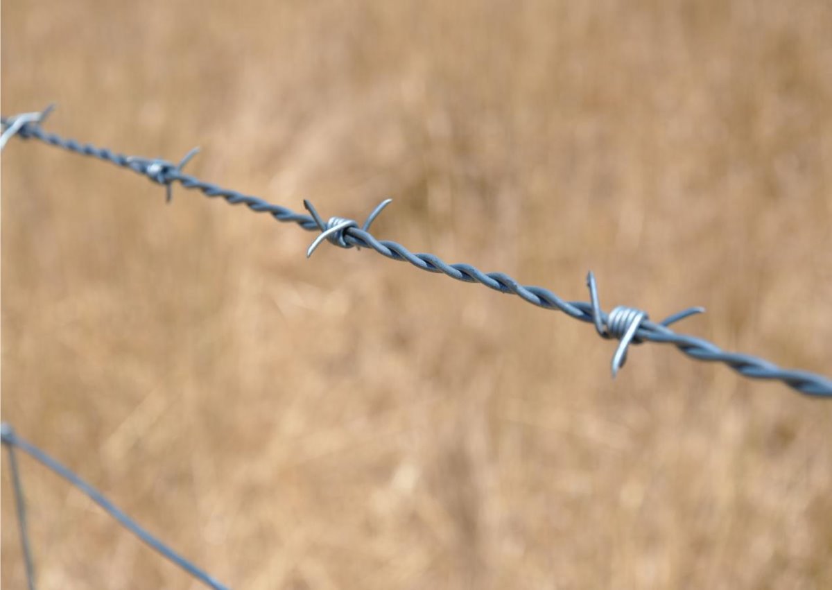 Masvingo Man Tells Judge He’s “Too Busy” To Return Fence He Stole From His Homestead