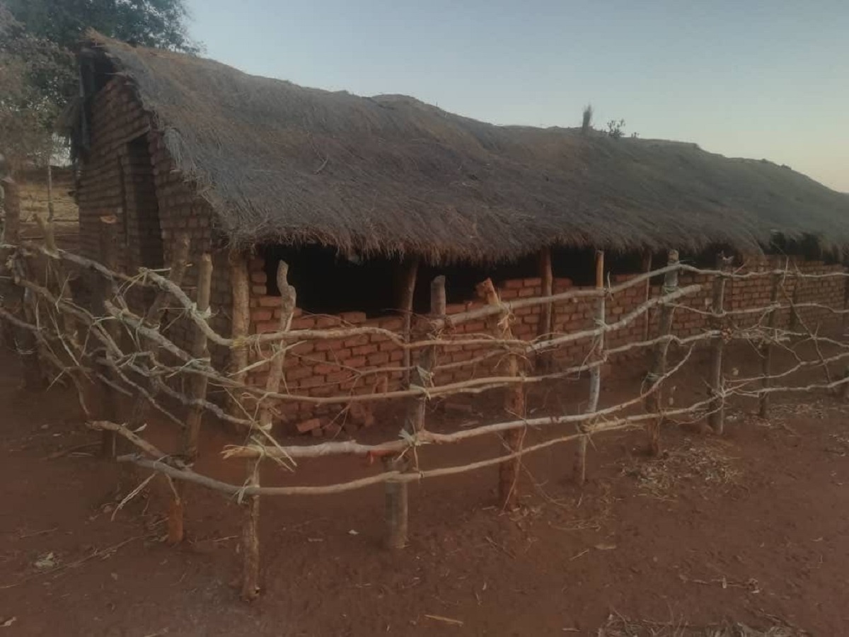 Rural Schools Struggle As BEAM Funding Shortfalls Affect ZIMSEC Results