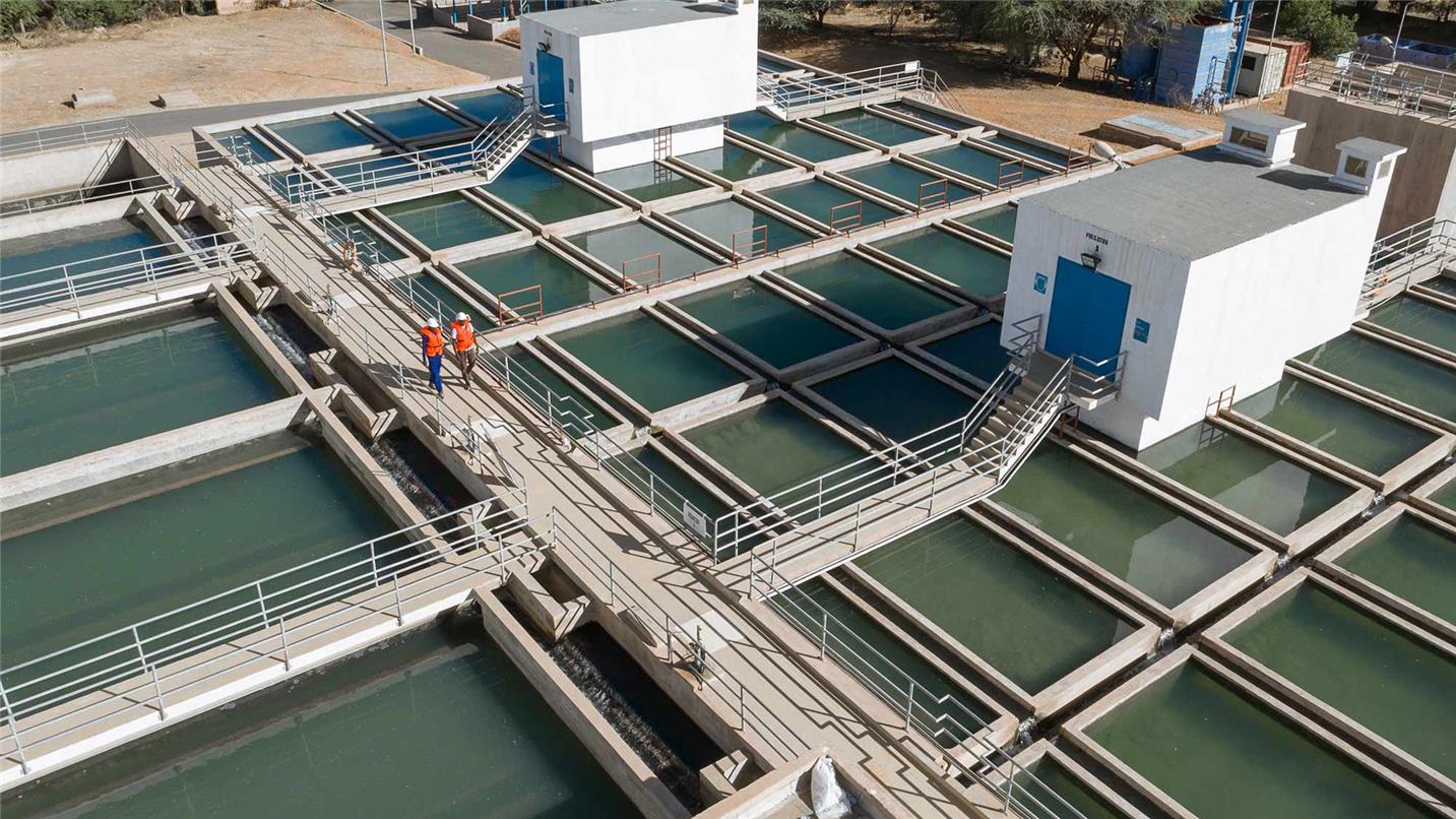 Harare Council Workers Confront Management Over Deaths At Firle Sewage Plant