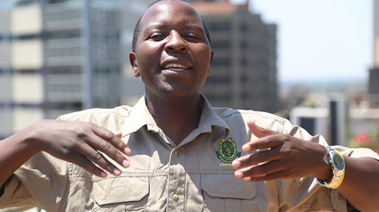 ZimParks Defends Killing Of Collared Lion In Hwange National Park