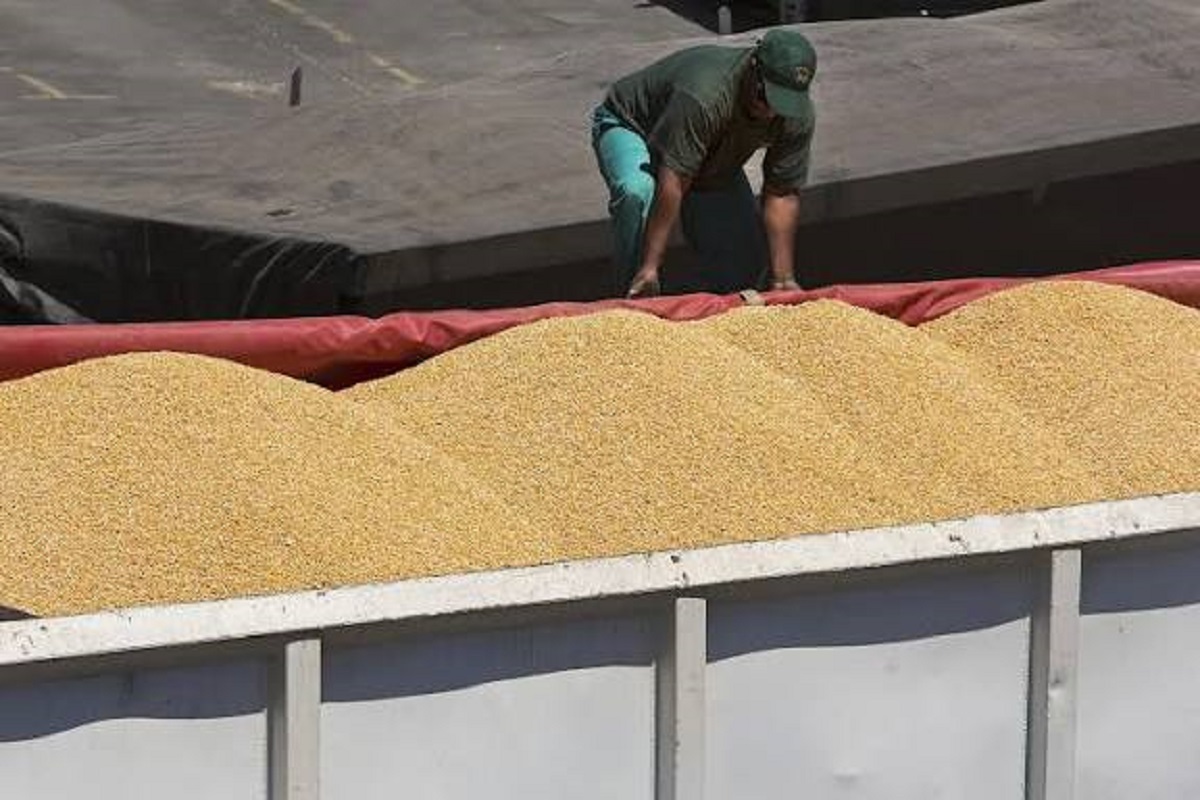 Blue Ribbon Shuts Bulawayo Plant As Grain Runs Out