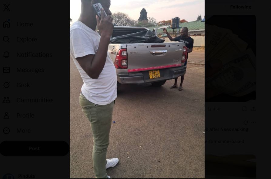 Harare Woman Tricked By Buyers Paying In Bond Notes For Chickens Worth US$1,500