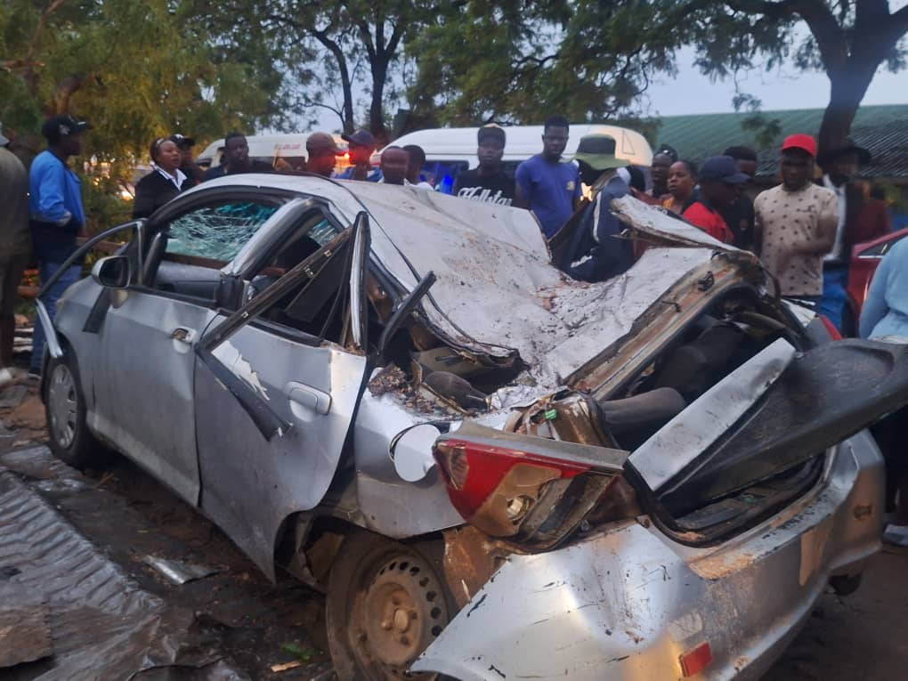 Chitungwiza Mayor Mourns Seke Man Killed By Fallen Tree