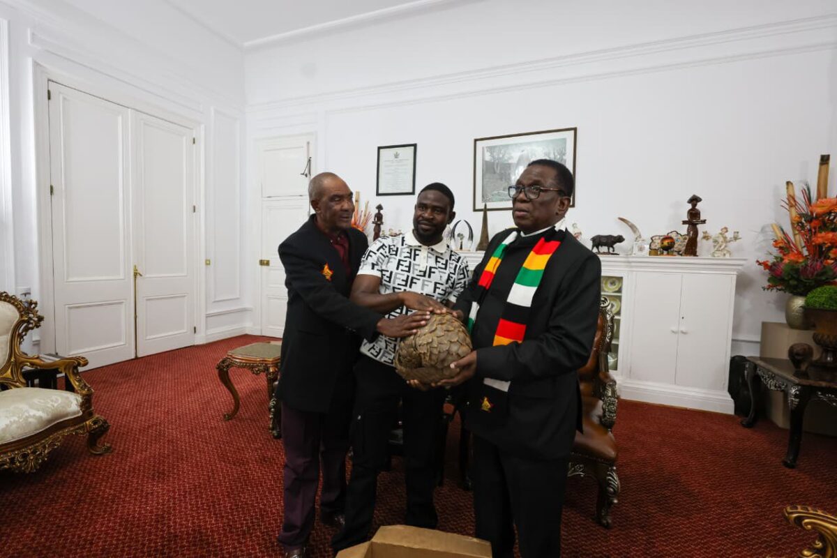 Man Finds Pangolin On His Farm, Drives 215km To Hand It To Mnangagwa