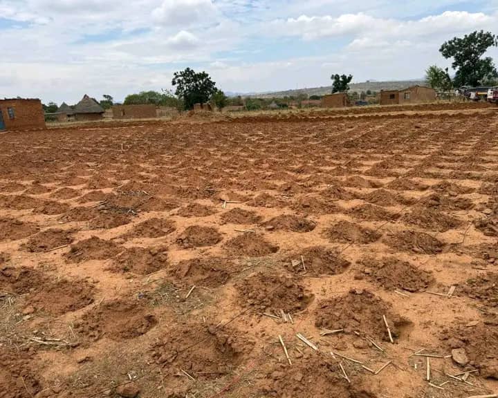 Bulawayo Boy Kills Self To Avoid Going To Rural Home And Plough Fields