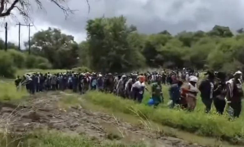 Over 1,100 Undocumented Zimbabweans Intercepted By South African Soldiers