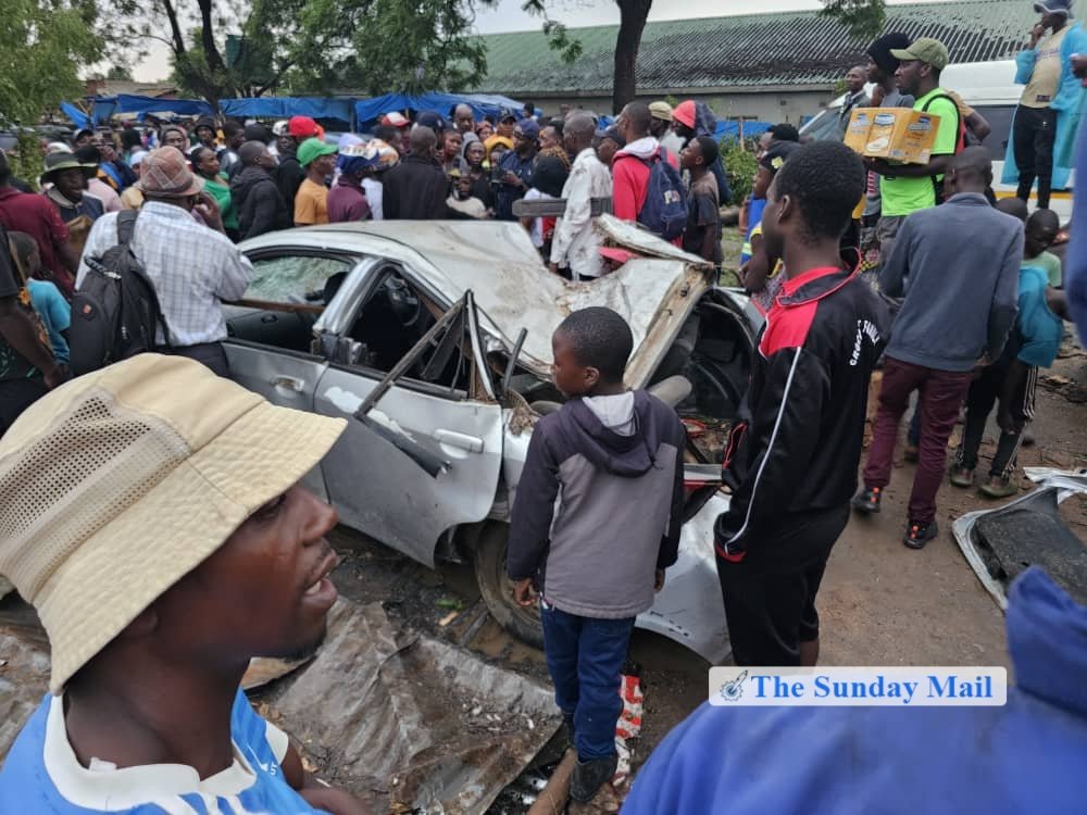Harare City Council Says It Can’t Be Held Liable For Trees Falling On Cars