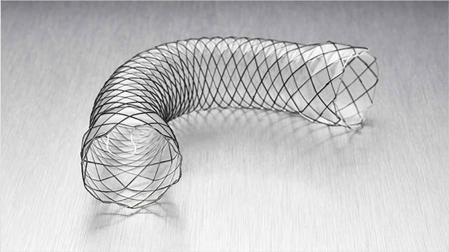 Masvingo Woman Dies After Failing To Raise Funds For Life-Saving Stent