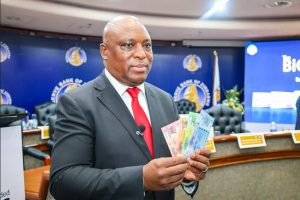 New ZiG Banknotes