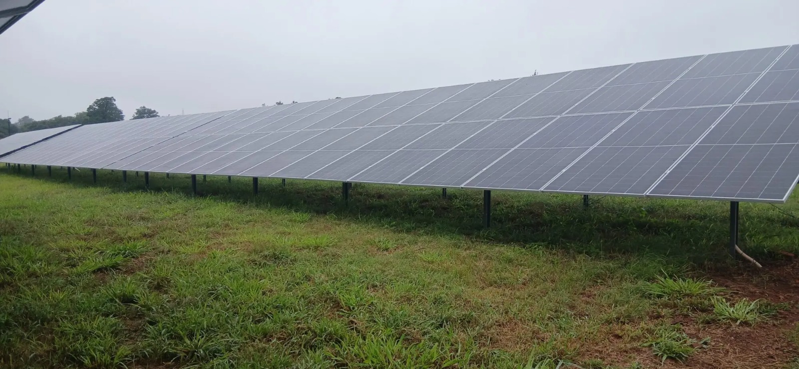 Mater Dei Hospital Switches On US$810,000 Solar Plant