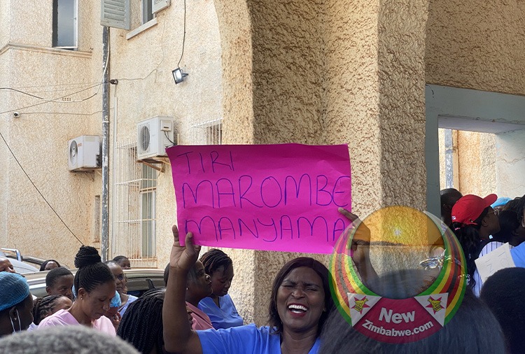 Nurses’ Protests Not Political, Says ZINA