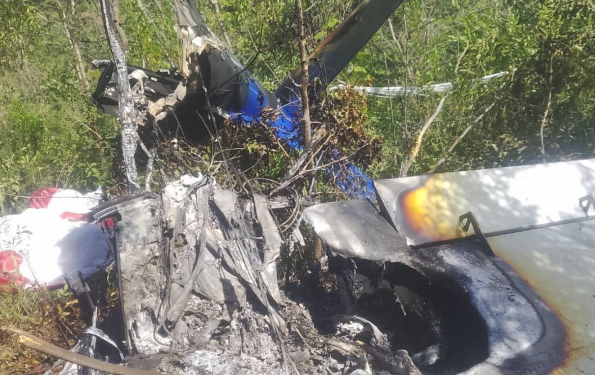 Pilot Killed In Small Plane Crash In Masvingo, Passenger Survives With Broken Legs