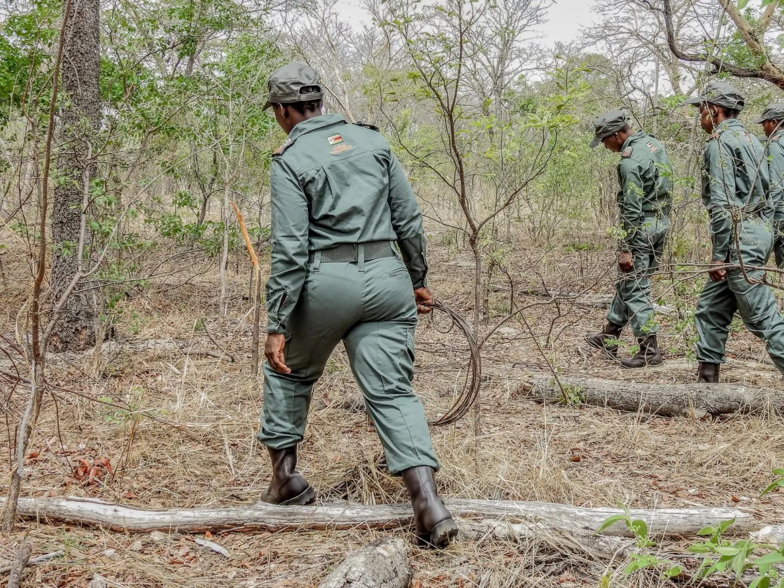 Two unemployed fathers jailed 8 months each for poaching kudu to pay school fees
