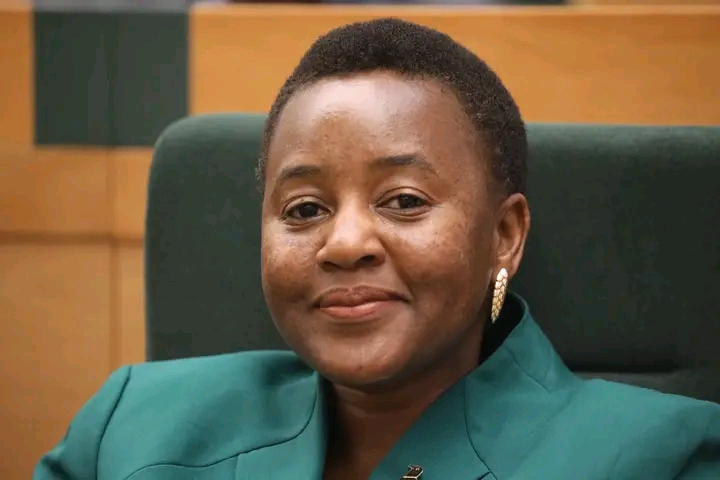 Govt Says Schools Can Unleash Debt Collectors On Parents For Unpaid Fees